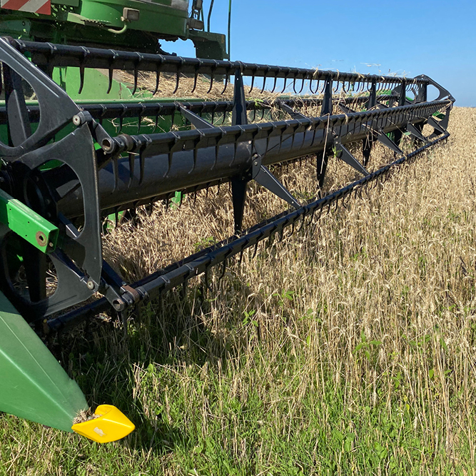 A close up side view of a green combine harvesting a field of wheat.