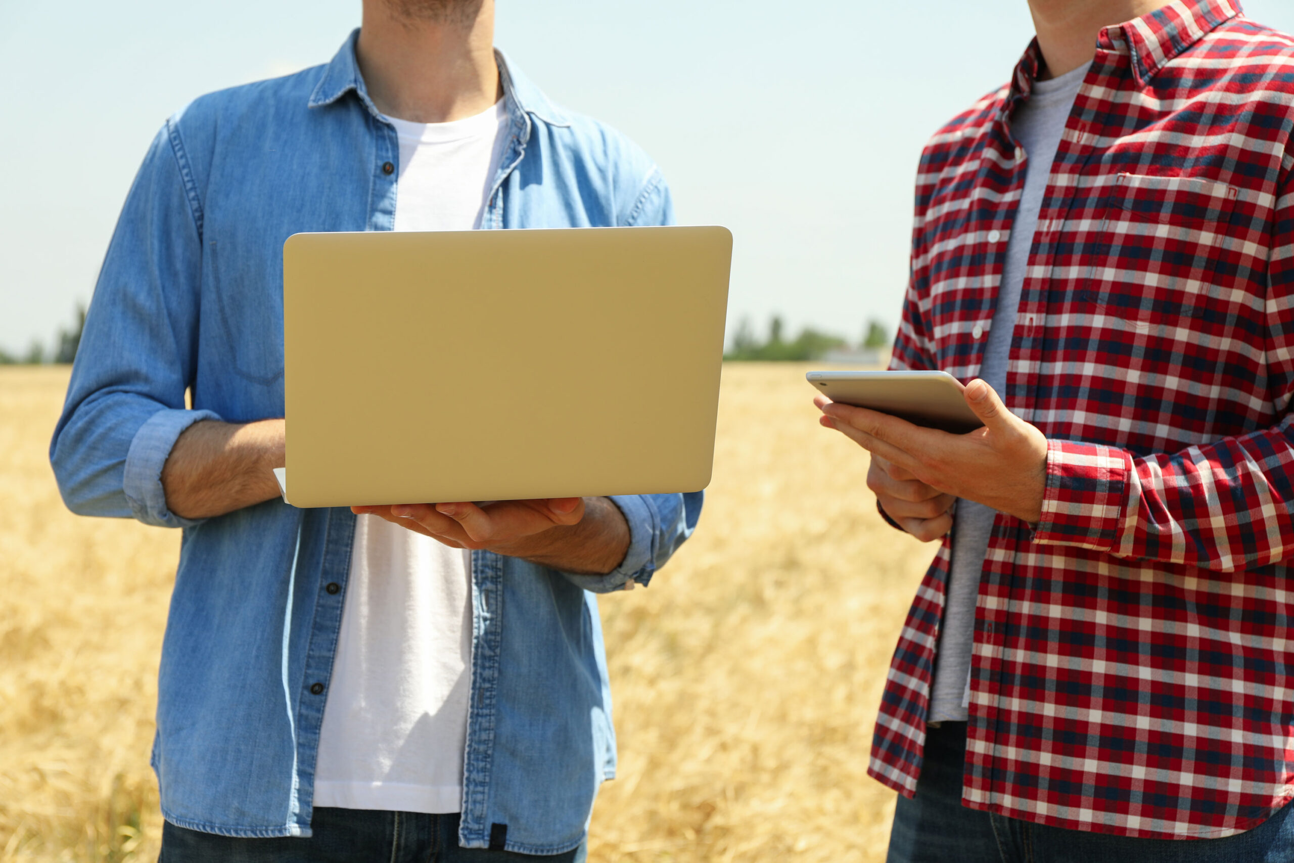 a close up image of two young men in a wheat field looking at a laptop. one man is wearing a blue jean jacket with a white shirt. the other man is wearing a flannel shirt and looking at his mobile phone.